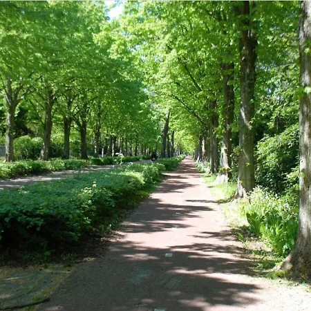 Appelbloesem 度假居